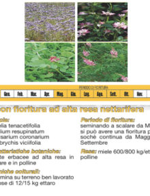 miscela-fiori-semi-piante400x400