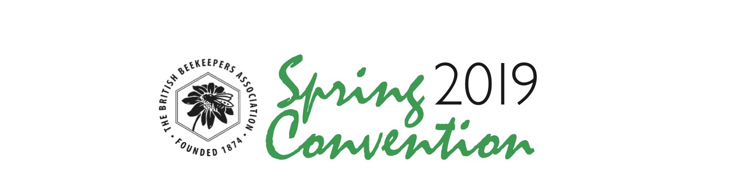 SpringConvention2019